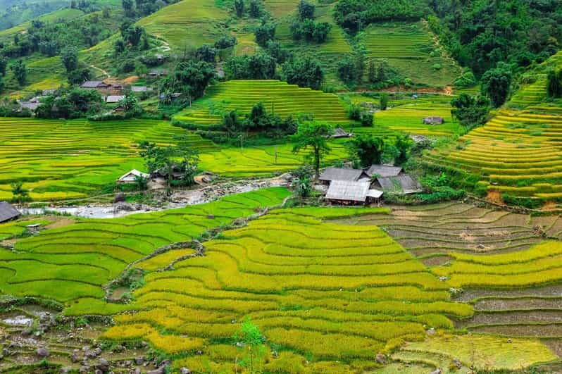 Sapa beautiful rice field, village - Easy walking kid,senior - FAQ