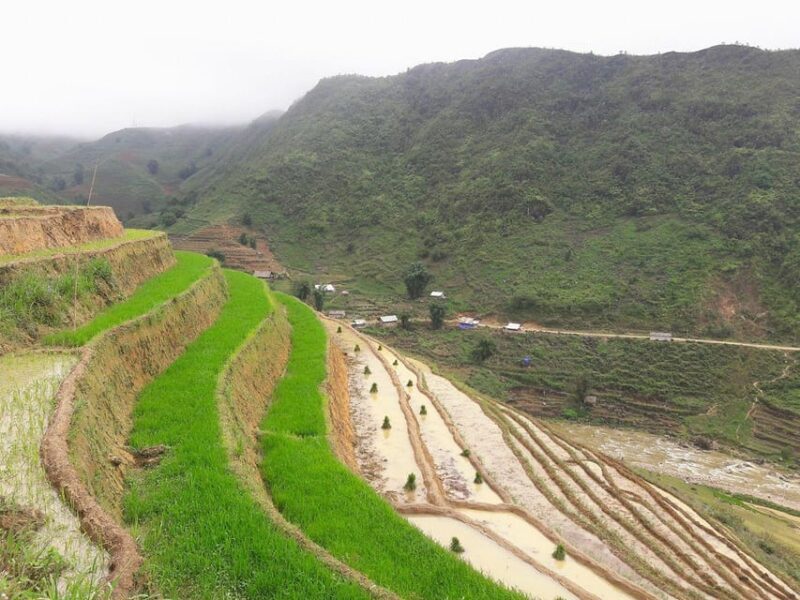 Sapa beautiful rice field, village - Easy walking kid,senior - Final Thoughts