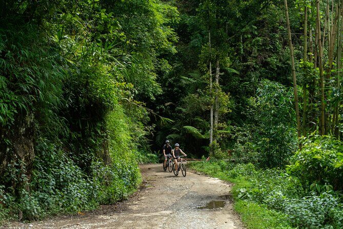 Sapa Bicycle Tour - Visit Muong Hoa Valley And Batik Workshop - FAQ