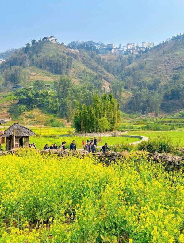 Sapa Cat Cat Village And Y Linh Ho Private Trekking Tour - Key Points