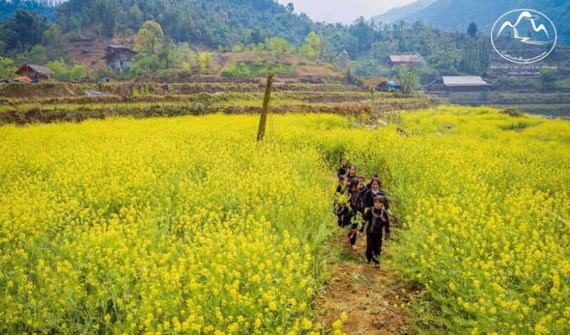 Sapa Cat Cat Village And Y Linh Ho Private Trekking Tour - Who Is This Tour Best For?