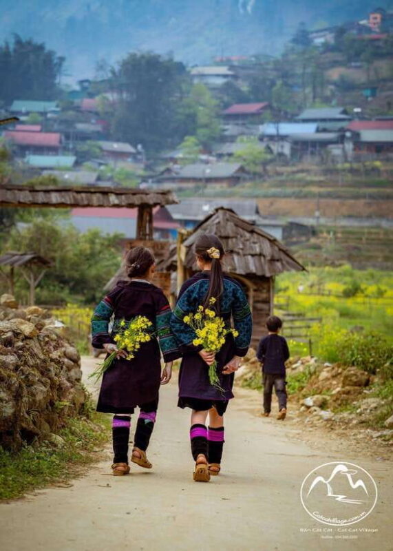Sapa Cat Cat Village And Y Linh Ho Private Trekking Tour - Final Thoughts