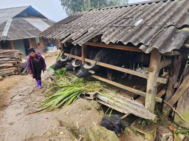 Sapa: Discover the Secrets of Red Dao herbal bath - Who Would Love This Experience?