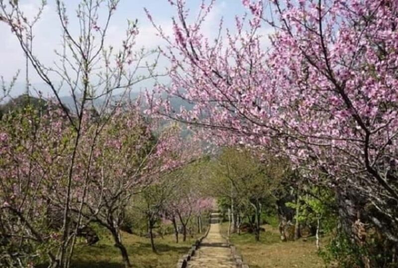 Sapa: "Dragon Jaw Mountain" Panorama Experience - Logistics and Practicalities