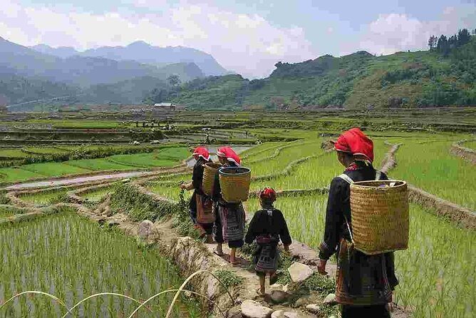 Sapa Easy Trekking For Seniors -4 Hours- The Stunning Rice Fields - Practical Aspects: Transportation, Cost, and Overall Value