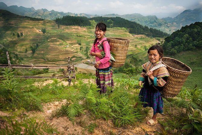 Sapa Easy Trekking For Seniors -4 Hours- The Stunning Rice Fields - The Sum Up: A Scenic and Cultural Snapshot of Sapa