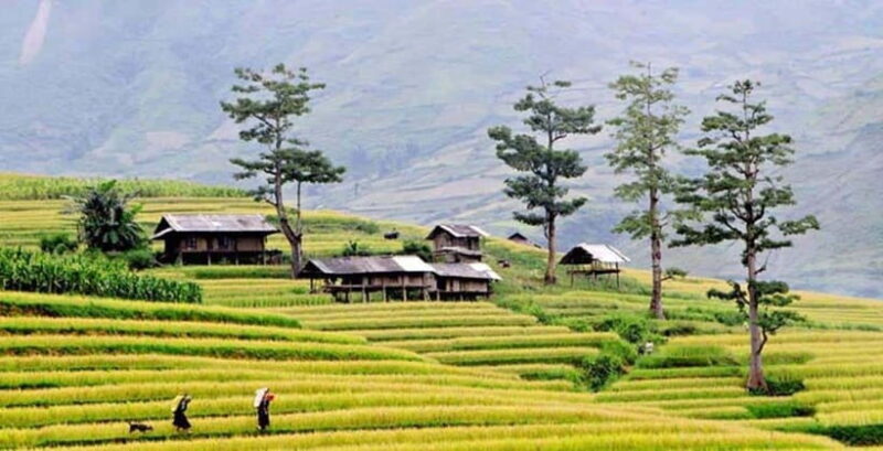 Sapa: Eco Adventure Terrace Fields and Local Villages Trek - Sapa: Eco Adventure Terrace Fields and Local Villages Trek