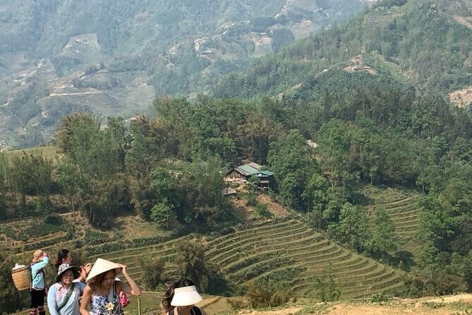 Sapa Full Day Trekking Through Rice Fields Terrace - Pricing and Value
