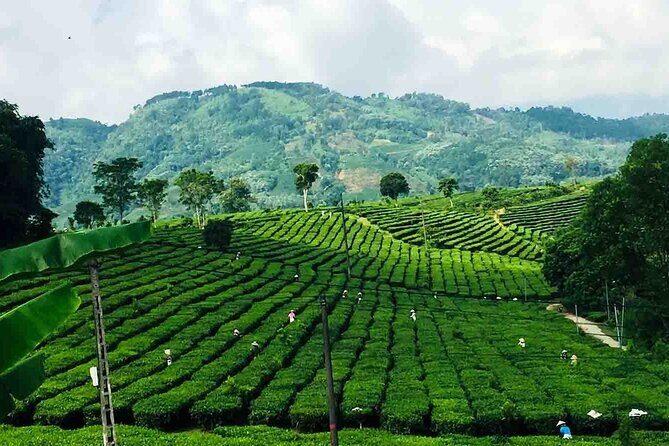 Sapa Full Day Trip: Waterfalls, Cave and Scenic Tea Farm by car - FAQ