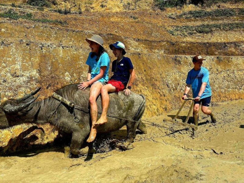 sapa-guided-full-day-trekking-muong-hoa-valley-with-lunch