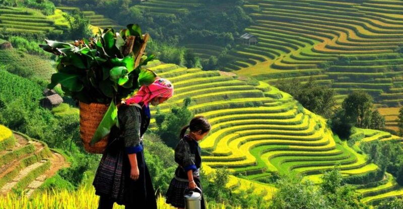 sapa-guided-full-day-trekking-muong-hoa-valley-with-lunch