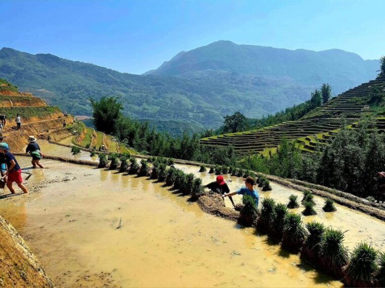sapa-guided-full-day-trekking-muong-hoa-valley-with-lunch