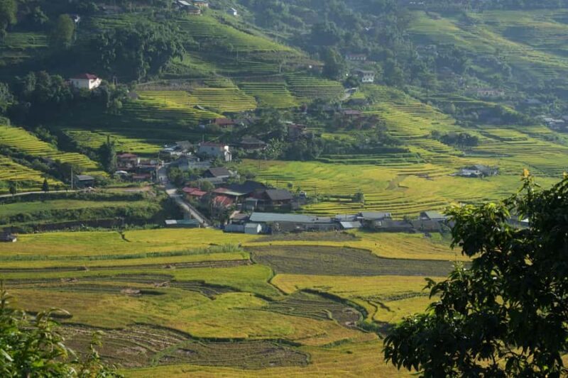 Sapa Half Day hard trekking villages trip with lunch & guide - Cost, Duration, and Booking