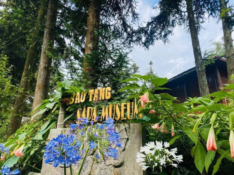 SAPA HALF DAY: Visit museum, Pagoda, Stone church & Market - Who Is This Tour Best Suited For?