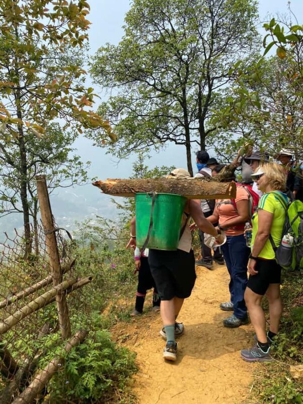Sapa: Ham Rong Mountain Jogging Tour with Guide - An In-Depth Look at the Tour Experience