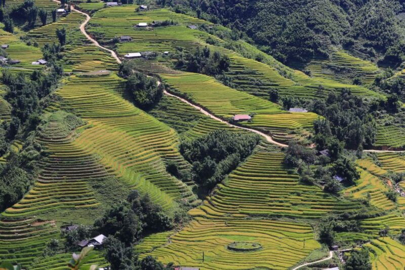 sapa-local-exploration-on-a-guided-motorbike-tour