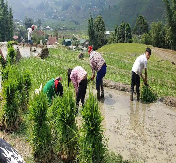 sapa-local-hmong-cooking-class