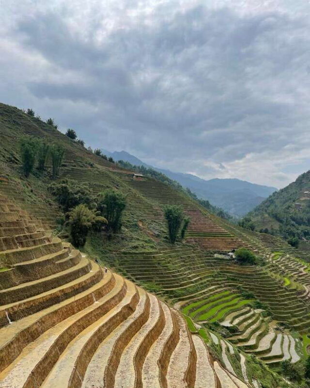 Sapa Motorbike Private Full Day Tour With Cat Cat Village - An In-Depth Look at the Tour Itinerary