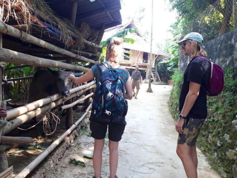 Sapa Motorbike Private Full Day Tour With Cat Cat Village - FAQ