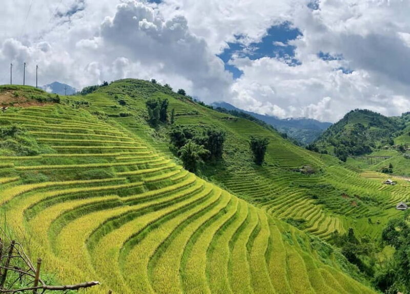 Sapa: Motorbike Tour to Hidden Villages & Terraced Fields - The Sum Up