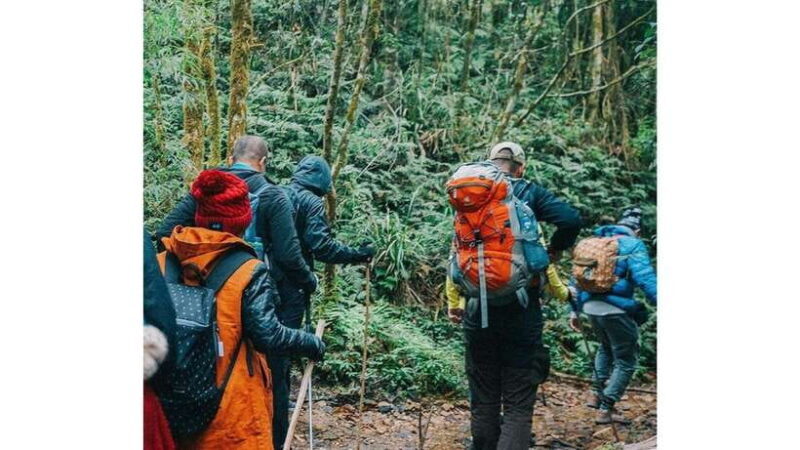 **SAPA**: Mount Fansipan Trek with a Local Guide - FAQ