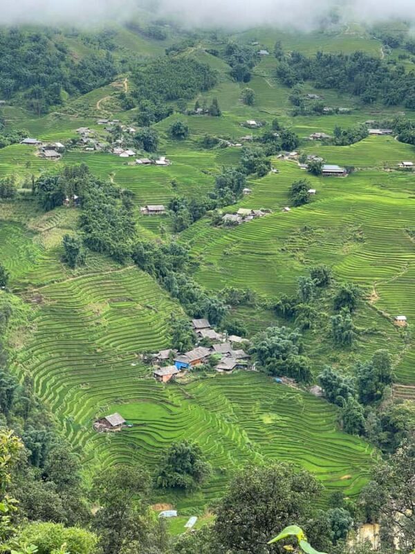 Sapa: Muong Hoa Valley Guided Trek with Lunch - Exploring Sapa: Muong Hoa Valley Guided Trek with Lunch — An Authentic Adventure