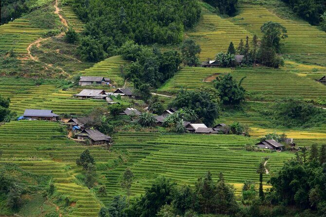 Sapa No-Trek Escape: Ta Van Village, Muong Hoa Valley, Spa & Café - Logistics and Value
