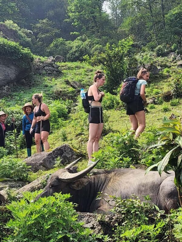 Sapa: One Day Trekking With Local Guide & Lunch - Key Points