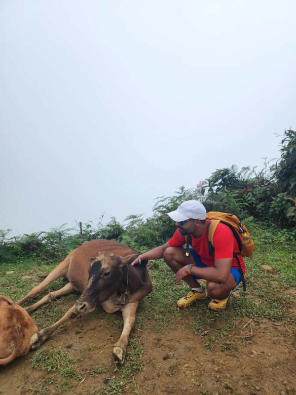 Sapa: One Day Trekking With Local Guide & Lunch - FAQ