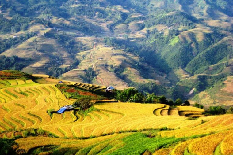 sapa-package-tour-2-days-1-night-with-trekking