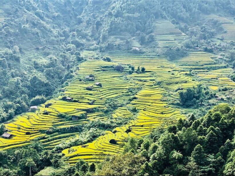 Sapa: Private Highlights Day Tour with Lunch - Why You’ll Love This Tour