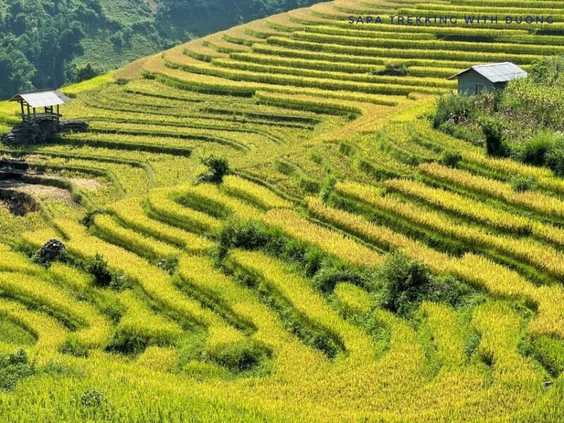 Sapa: Private Muong Hoa Valley and Homestay Trekking 2-Day - Exploring the Itinerary in Detail