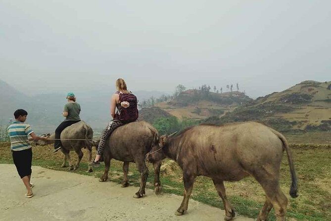 Sapa private: One day of funny Buffalo Ride & Trekking Tour - An In-Depth Look at the Itinerary