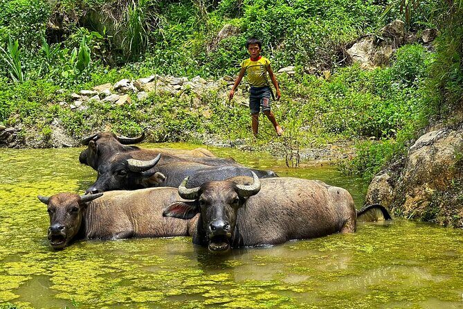 Sapa Scenic Journey at Terraced Fields and Local Village Life - Practical Details and What to Expect