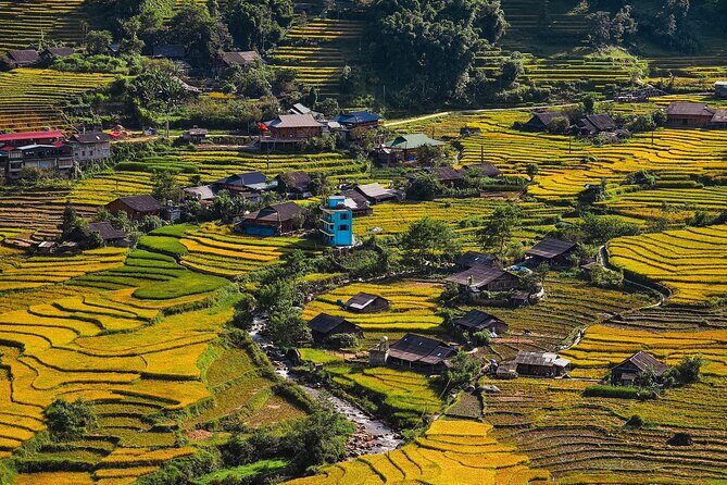 Sapa: Scenic Trek Through Majestic Rice Terraces & Rural Villages - Key Points