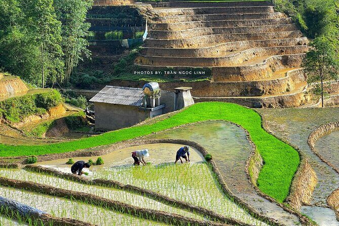 Sapa: Scenic Trek Through Majestic Rice Terraces & Rural Villages - The Route and Its Highlights
