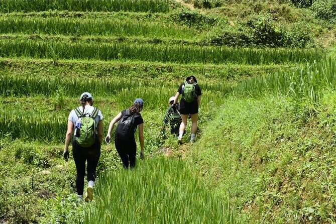 Sapa: Scenic Trek Through Majestic Rice Terraces & Rural Villages - Authentic Experiences That Stand Out