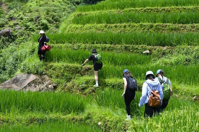 Sapa Scenic Trekking through Rice Terraces & Local Villages - Final thoughts