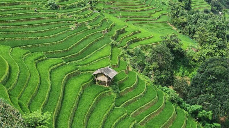 Sapa: T Van to Su Pan Guided Trek with Local Guide - FAQ