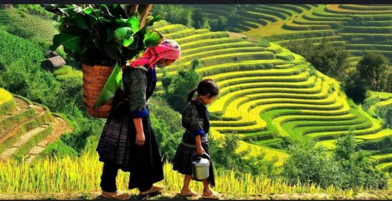 Sapa: Ta Phin Village Trek & Red Dao Herbal Bath - Why This Tour Offers Great Value