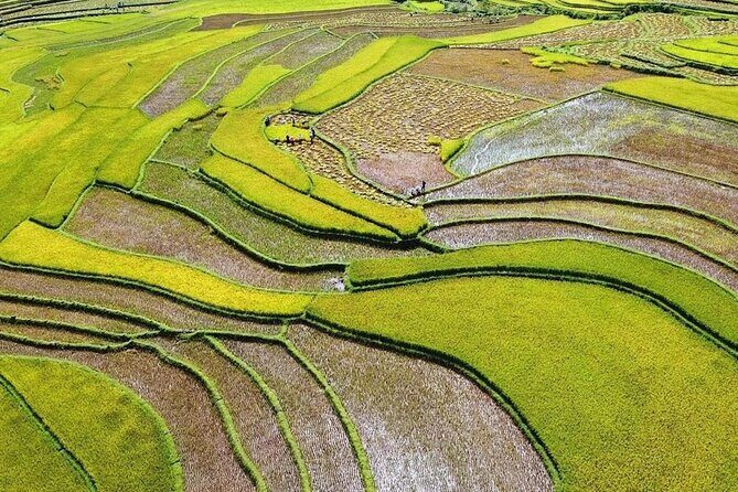 Sapa to Waterfall, Pusamcap Cave with motorbike rider 1 day - Authenticity and Review Insights