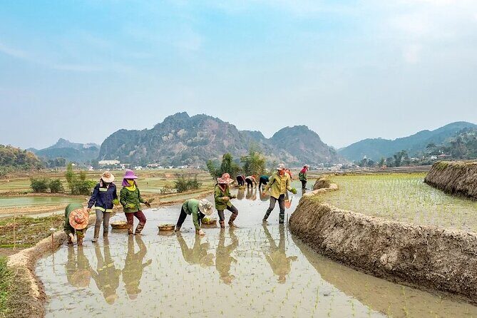 Sapa transfer by luxury limousine to Noi Bai airport with 8 VIP seats from Sapa - FAQ