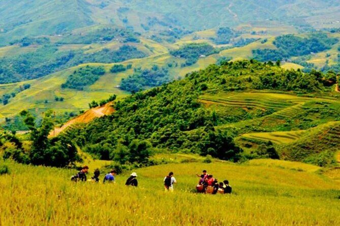 Sapa Trek 3 days 3 nights small group tour - Homestay and Hotel from Hanoi - Highlights Based on Reviews