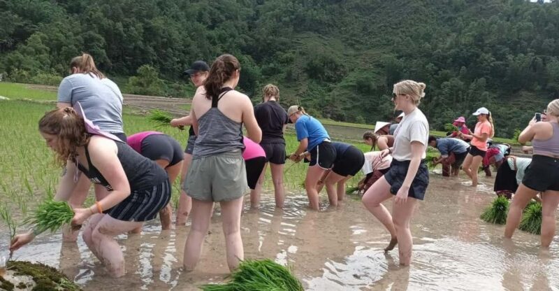 Sapa: Trekking 2 days 1 night in homestay - Discover the Authentic Charm of Sapa: A 2-Day Trekking Adventure