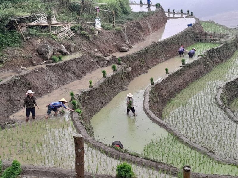 Sapa: Trekking 2 days 1 night in homestay - Final Thoughts