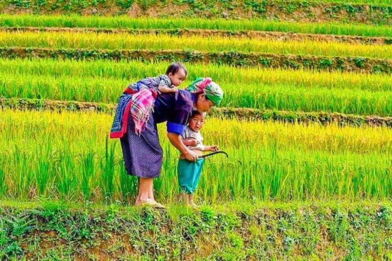 Sapa Trekking 3 Days 2 Night - VIP Sleeper Bus from Hanoi - Key Points