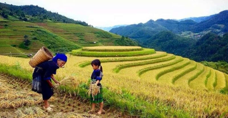 sapa-trekking-3-days-2-night-vip-sleeper-bus-from-hanoi