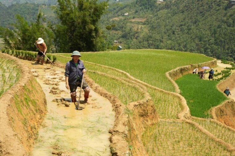 sapa-trekking-3-days-2-night-vip-sleeper-bus-from-hanoi