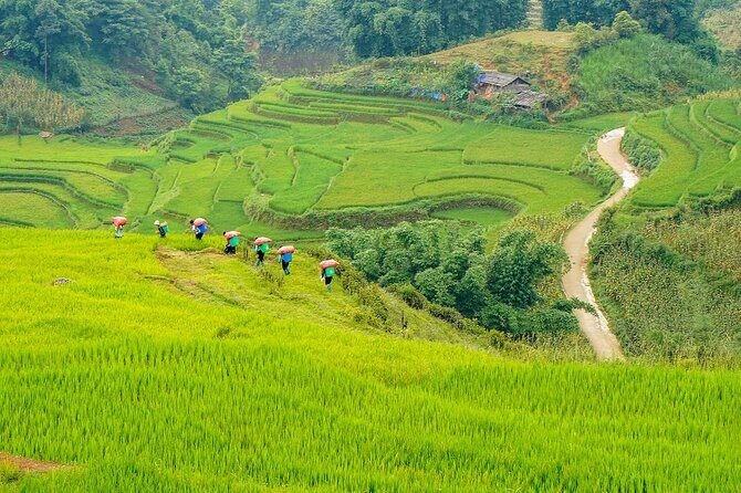 Sapa Trekking 3 Days 2 Nights (Homestay) - Departure From Hanoi - Who Should Consider This Tour?