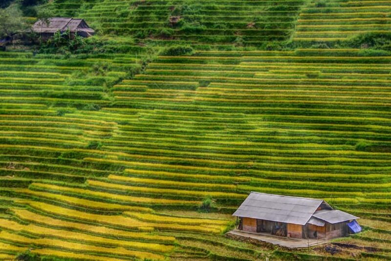 Sapa Trekking Bargains With Local Guide - A Deep Dive into the Sapa Trekking Experience